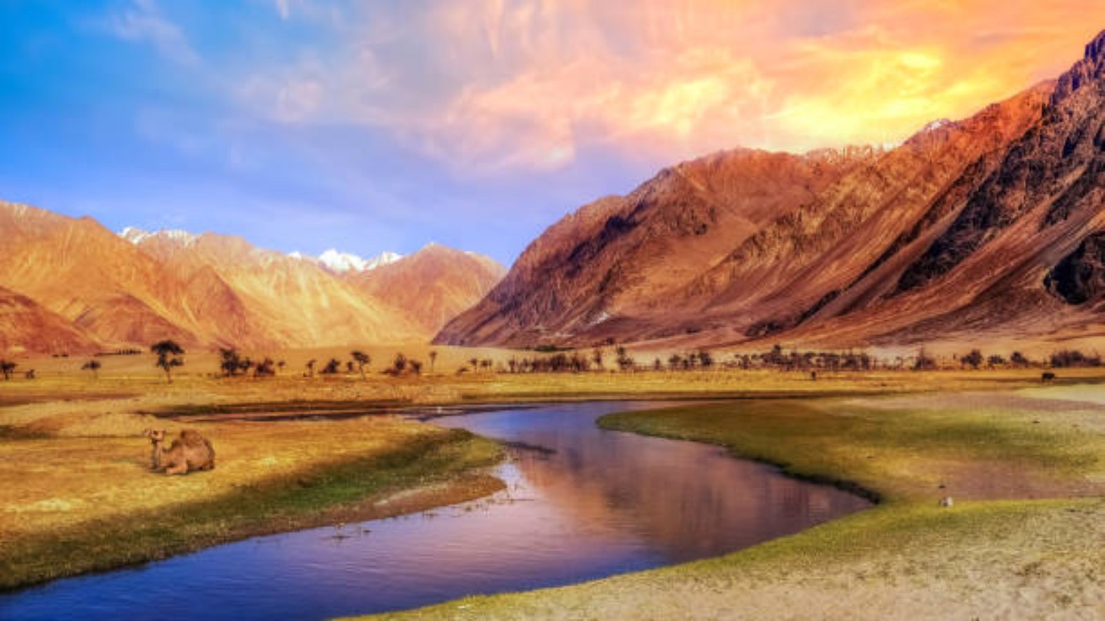 Nubra Valley – India